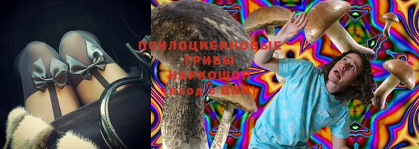 МДПВ Алексеевка