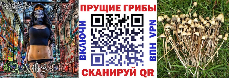 Галлюциногенные грибы ЛСД  Амурск 
